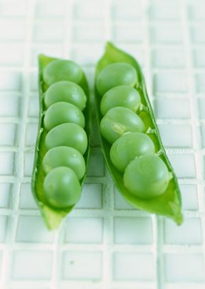 名古屋名物ひつまぶし – うなぎのしら河の魅力に迫る