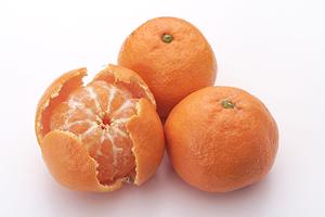 世界のビール博物館 大名古屋ビルヂング店 – グルメとビールの楽園