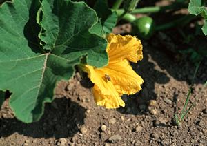 2025年最新版！新宿エリアで見つかる絶品カフェベスト10【完全ガイド】