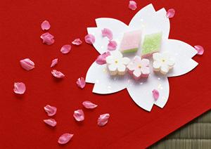 セルフカフェ・スイーツの魅力と利用ガイド|広々空間でくつろぎの時間を楽しむ