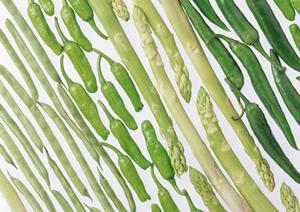 業務用厨房機器の選び方と最新トレンド!経営効率を高めるための完全ガイド