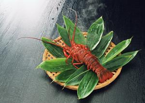 梅田阪神のShake Shack – 活気あふれる大阪で味わう絶品バーガー