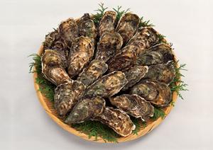 居酒家 土間土間 八重洲店 – くつろぎの居酒屋体験